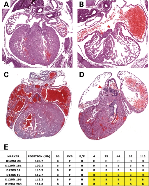 Figure 5.