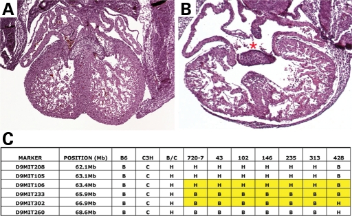 Figure 4.