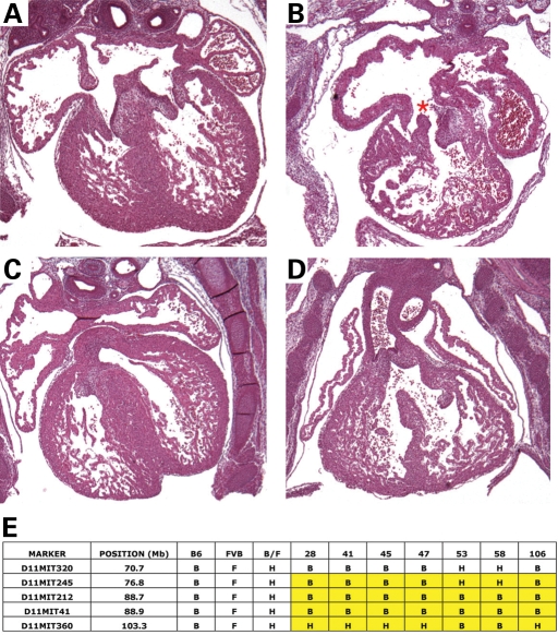 Figure 7.