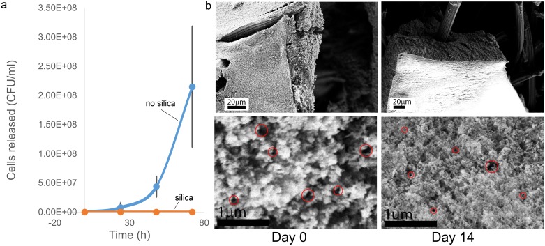 Fig 4