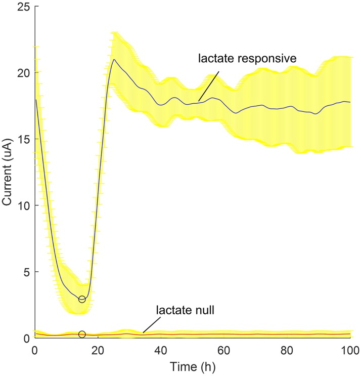 Fig 5