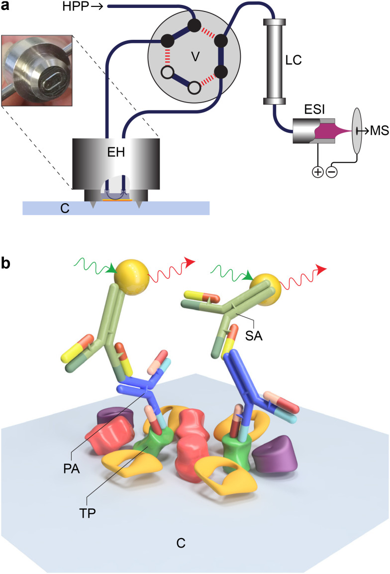 Fig. 2