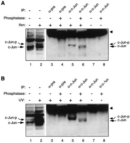 FIG. 5.