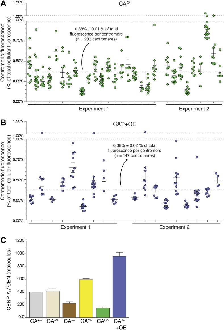 Figure 2—figure supplement 2.