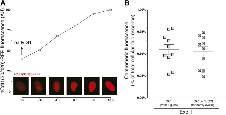 Figure 3—figure supplement 1.