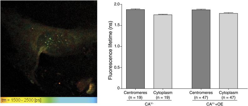 Figure 2—figure supplement 1.