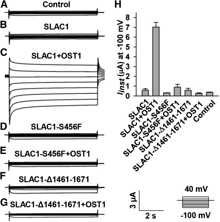 Figure 7.