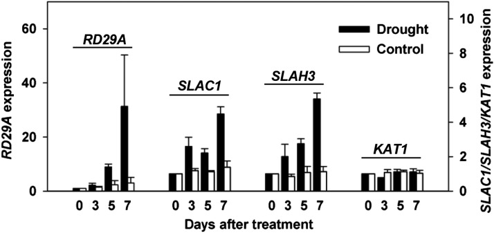 Figure 14.