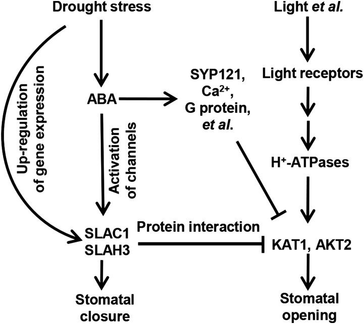 Figure 15.