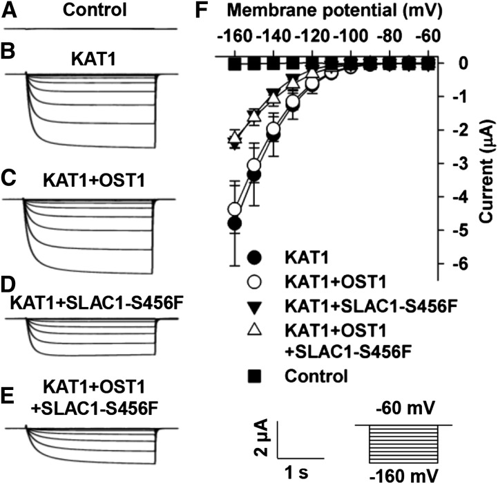 Figure 9.