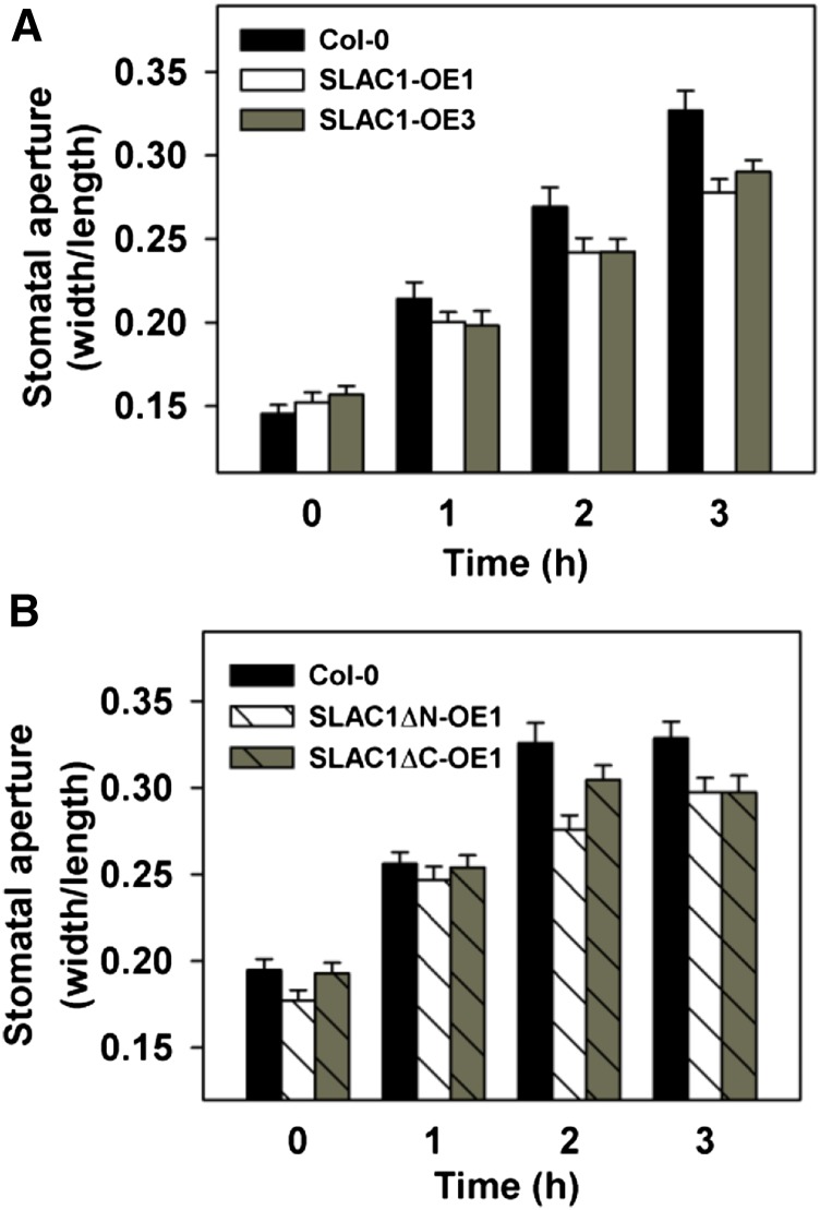 Figure 13.