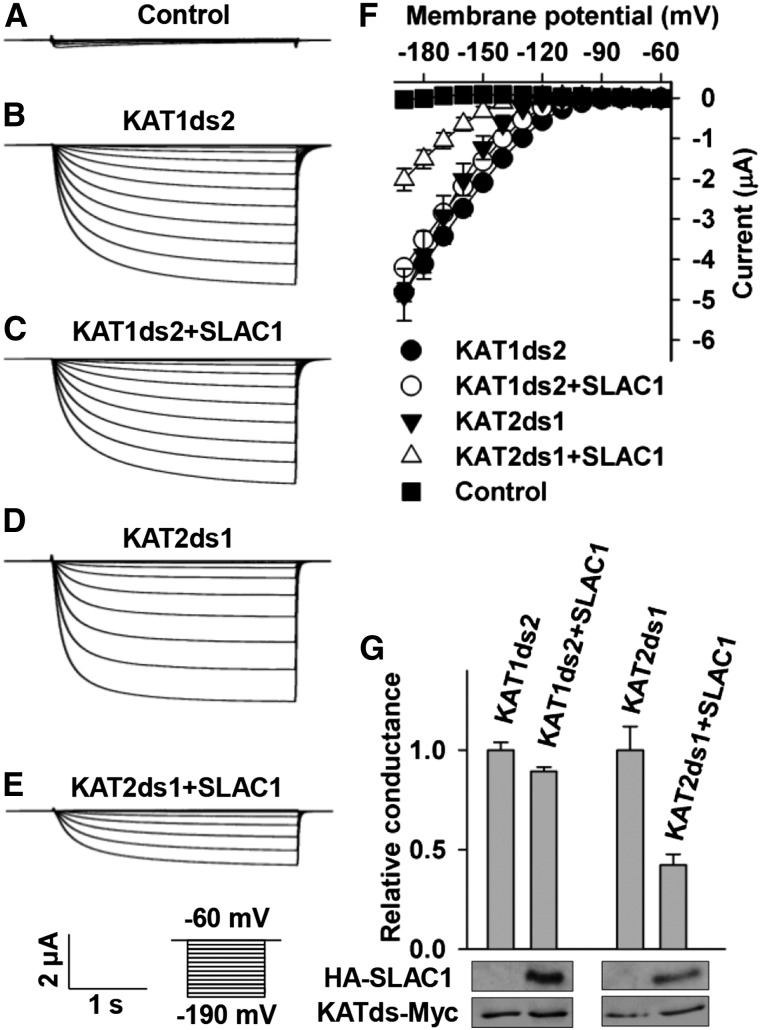 Figure 11.