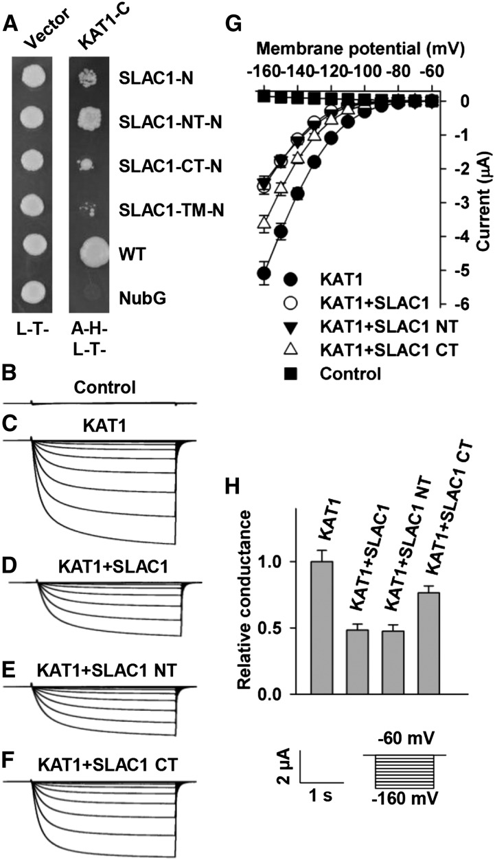 Figure 10.