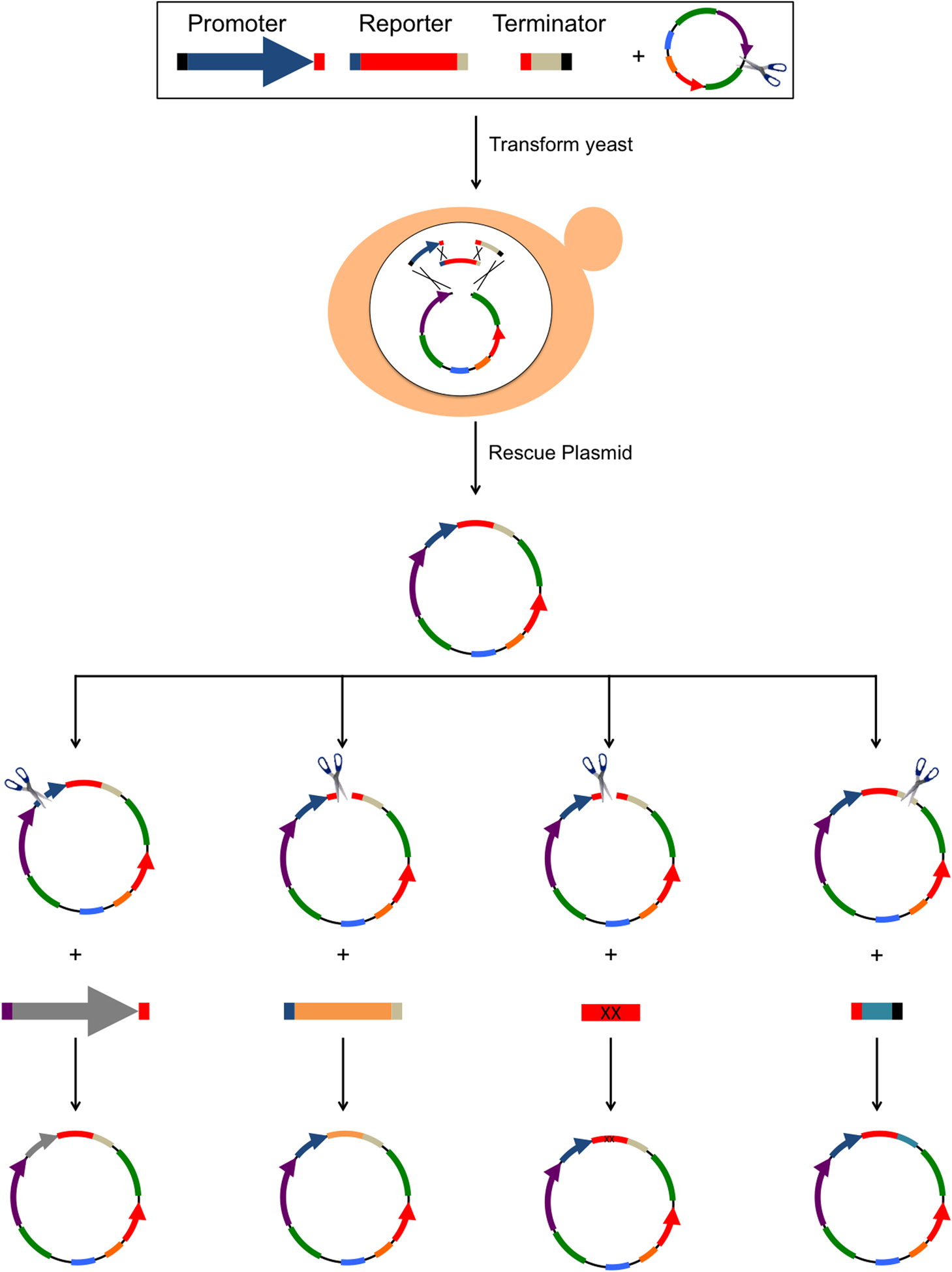 Figure 2.
