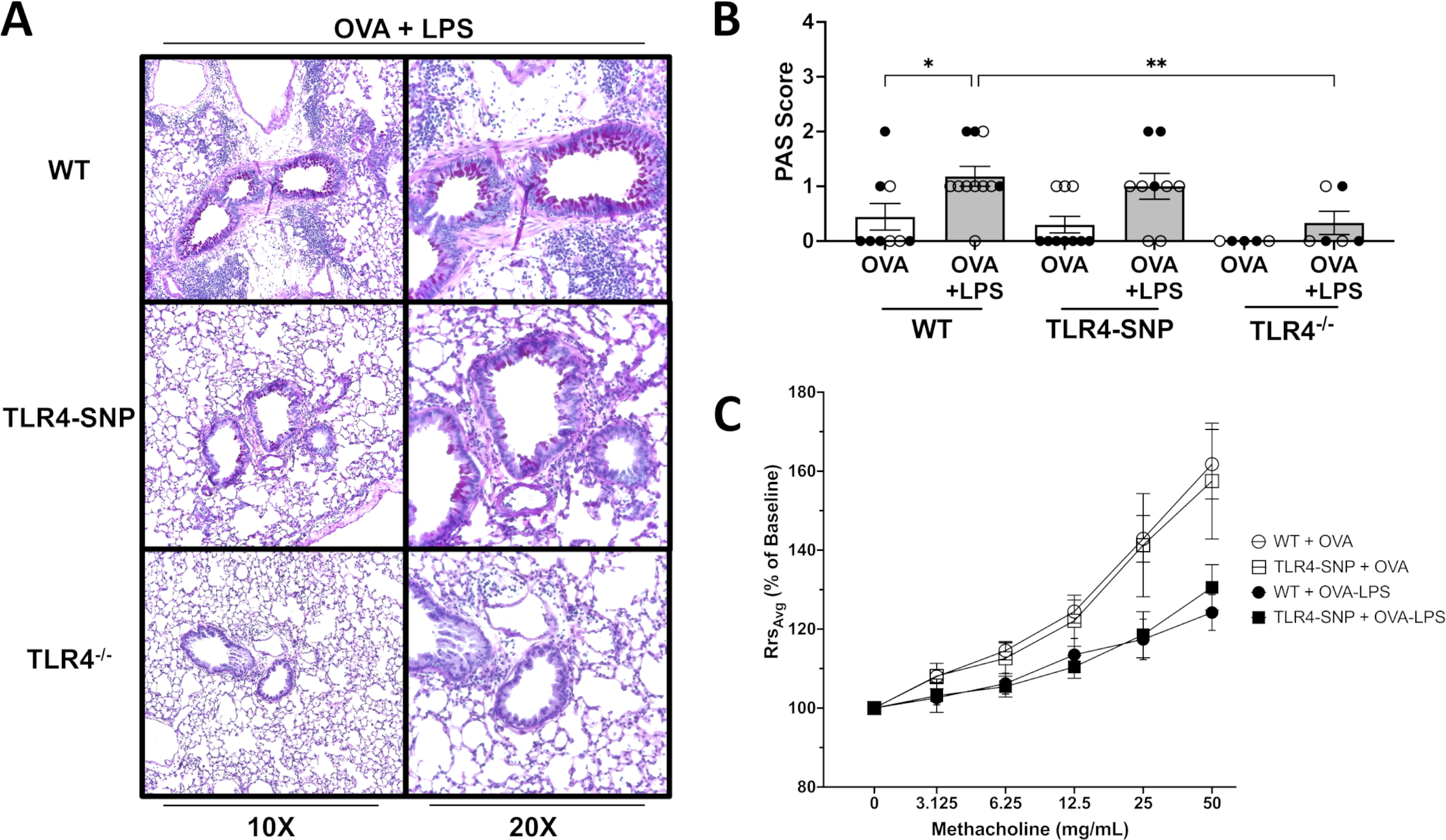 Figure 3: