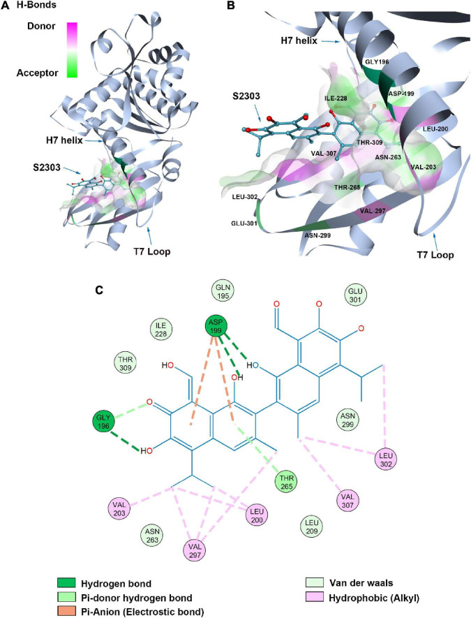 FIGURE 11