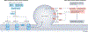 Fig. 4 |