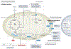 Fig. 2 |