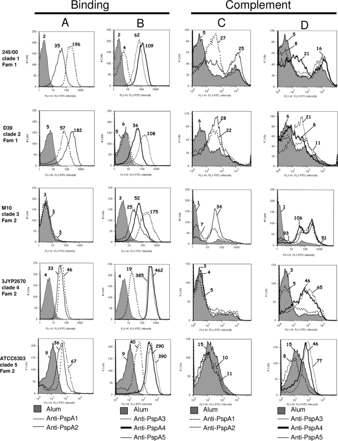 FIG. 3.