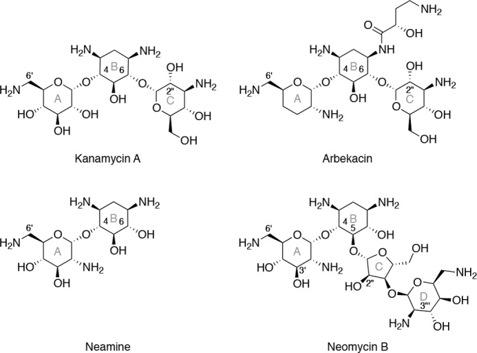 FIGURE 1.