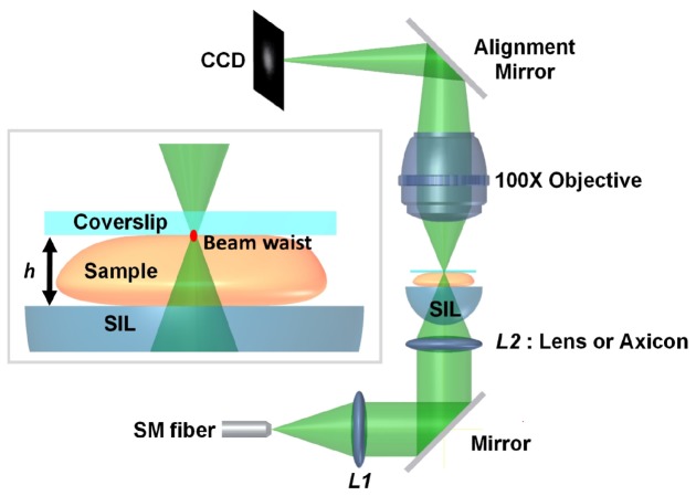 Fig. 1