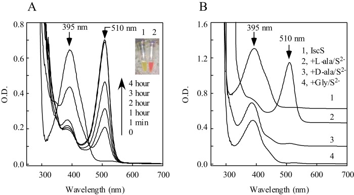 FIGURE 6.