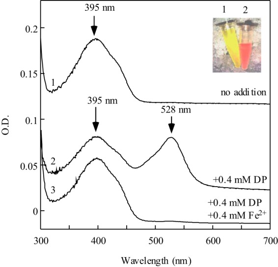 FIGURE 3.