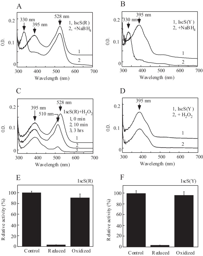 FIGURE 5.