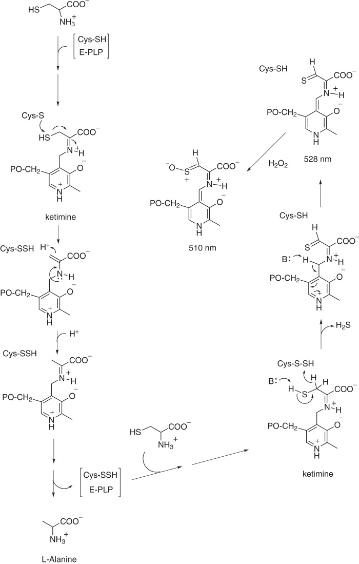 FIGURE 7.