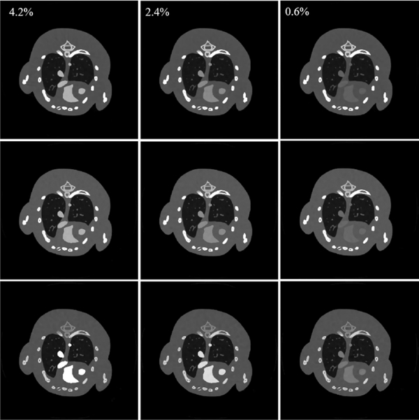 Fig. 12.