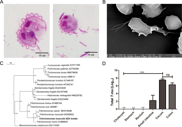 FIG 1