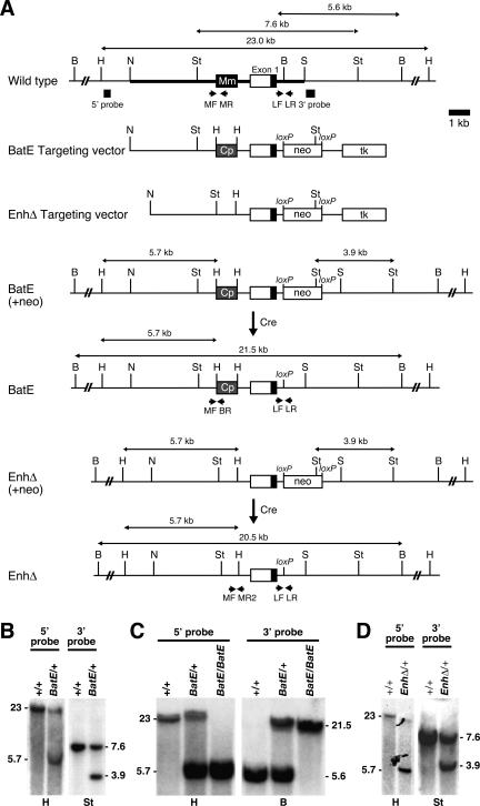 Figure 2.