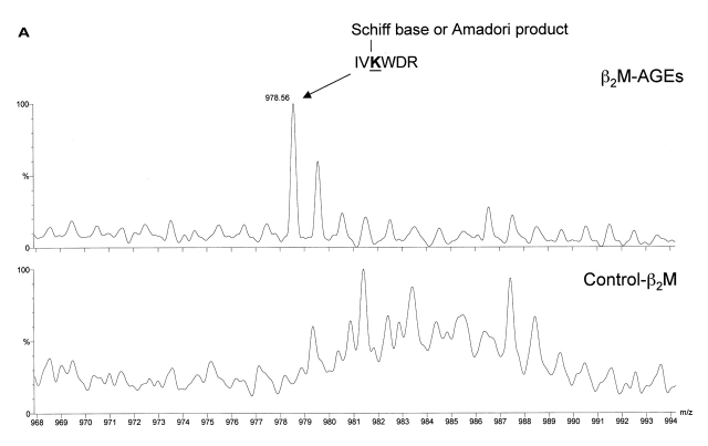 FIGURE 3A, B