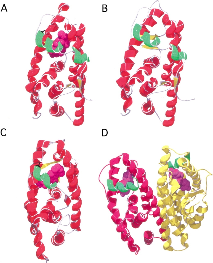 Fig. 1.