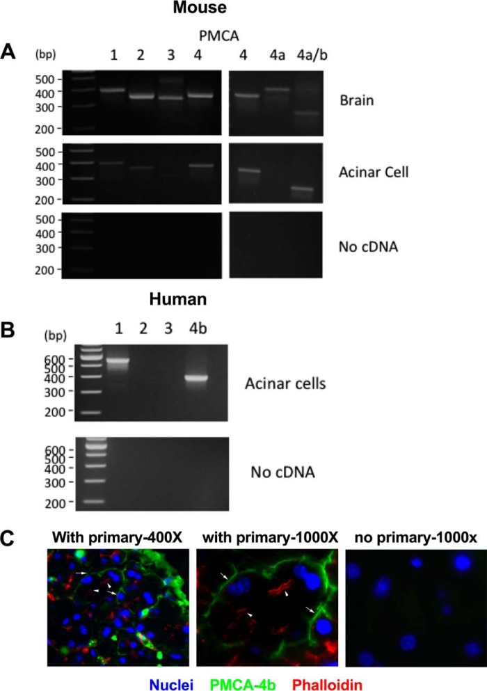 Figure 6.