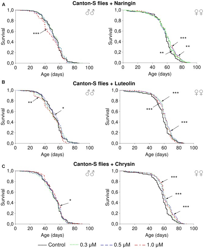 FIGURE 3