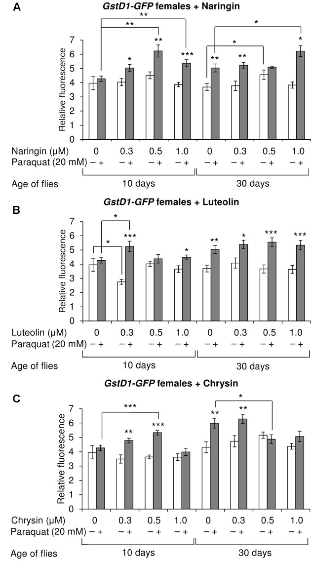 FIGURE 11