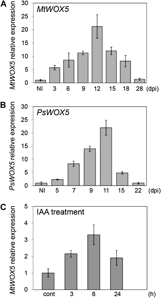 Figure 1.