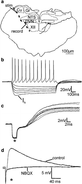 Fig. 5