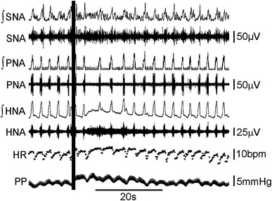 Fig. 7