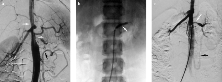 Figure 2. a–c.