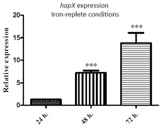 Figure 7