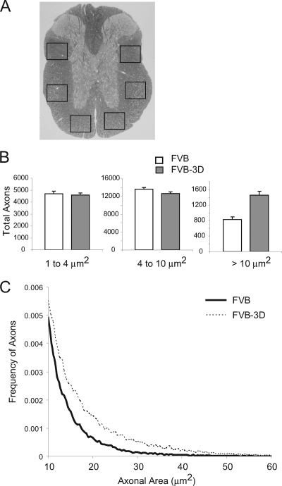 FIG. 7.