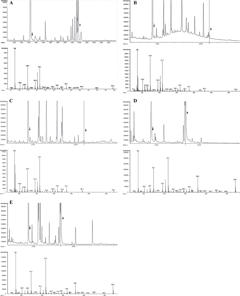 Fig. 3.