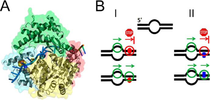 FIGURE 4.