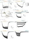 Figure 5—figure supplement 1.