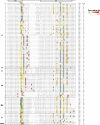 Figure 1—figure supplement 2.