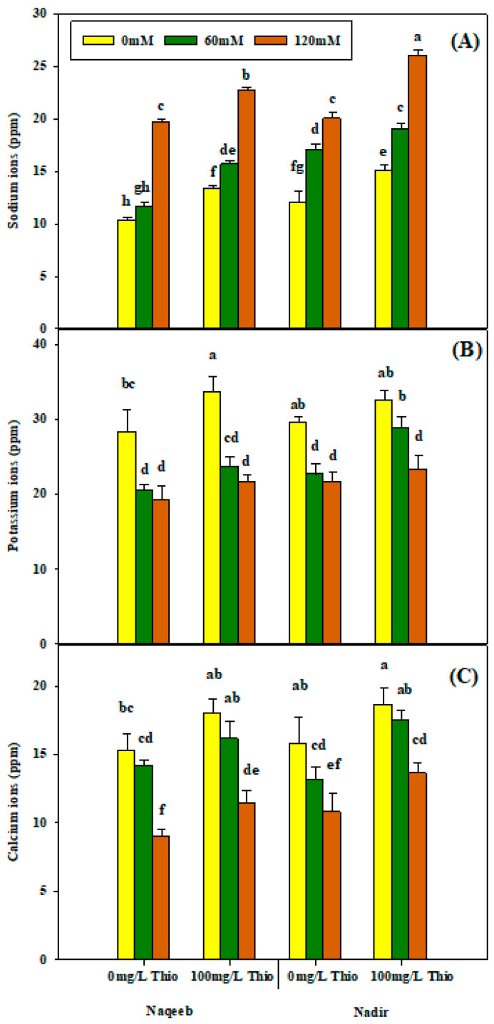 Figure 7