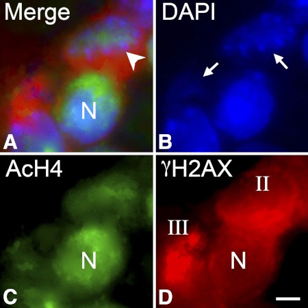 Figure 4.