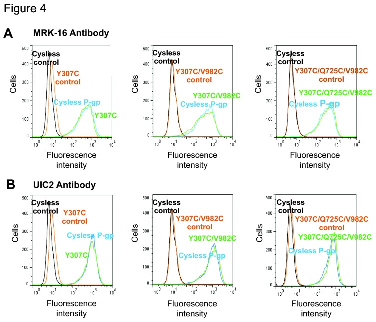 Figure 4